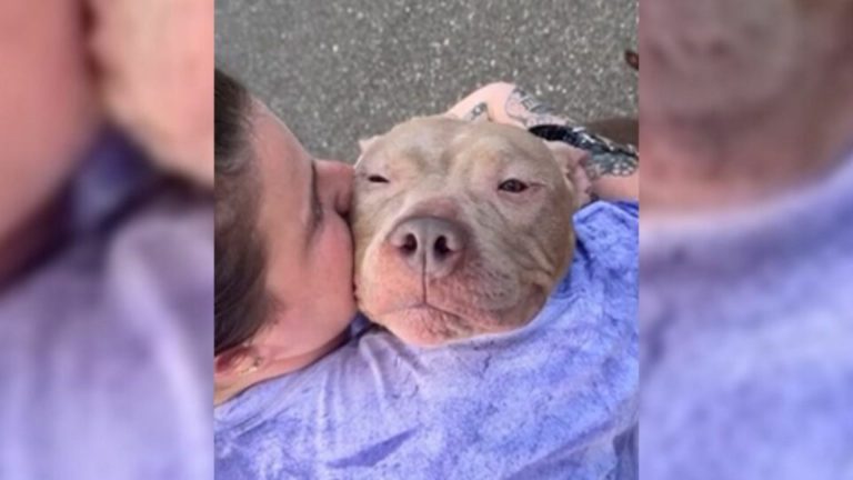 woman kissing a dog