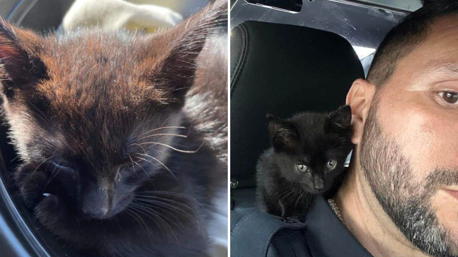 Officer In South Carolina Finds Adorable Surprise Lodged In Car Engine
