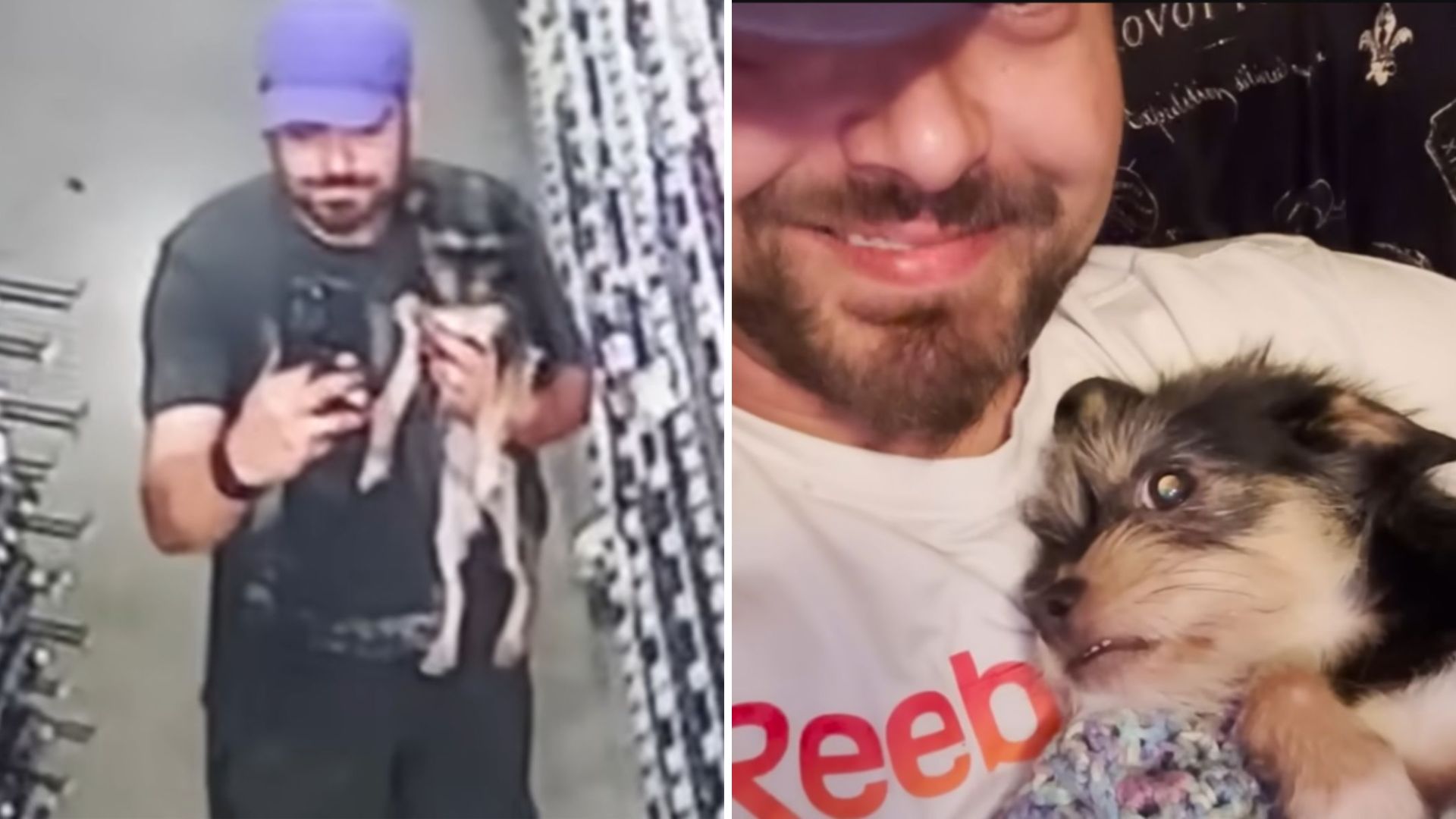Tiny Pup Found At Dollar General Turns Florida Man’s Ordinary Day Into A Miracle