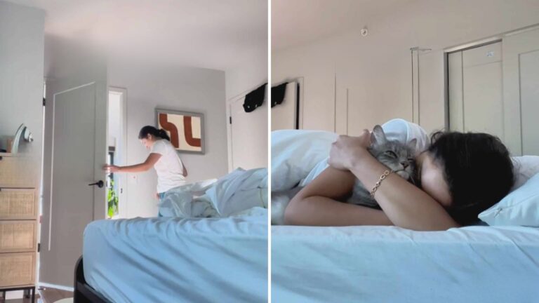 Washington Cat Throws A Fit After Being Locked Out Of Bedroom And You Just Have To See It