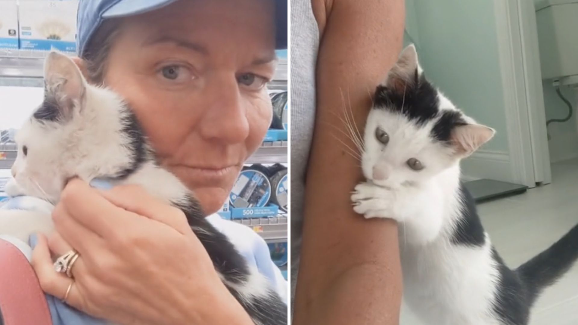 woman and sweet kitten