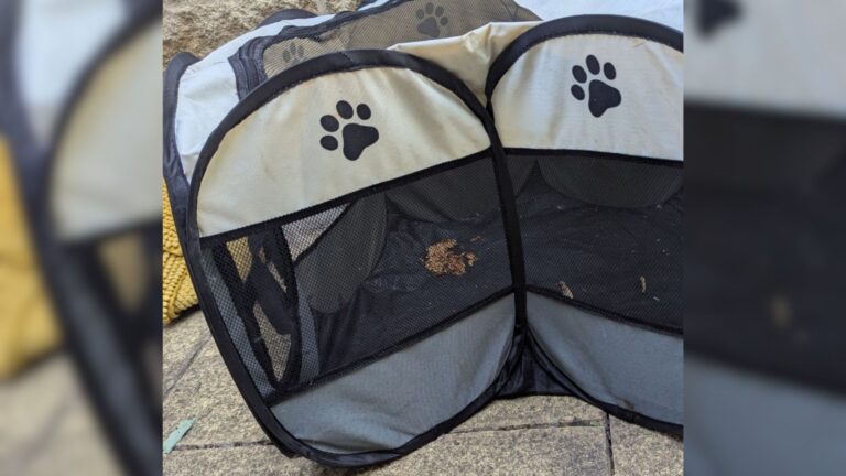 Passerby Spots A Playpen Abandoned On The Roadside And Their Heart Breaks At What’s Inside