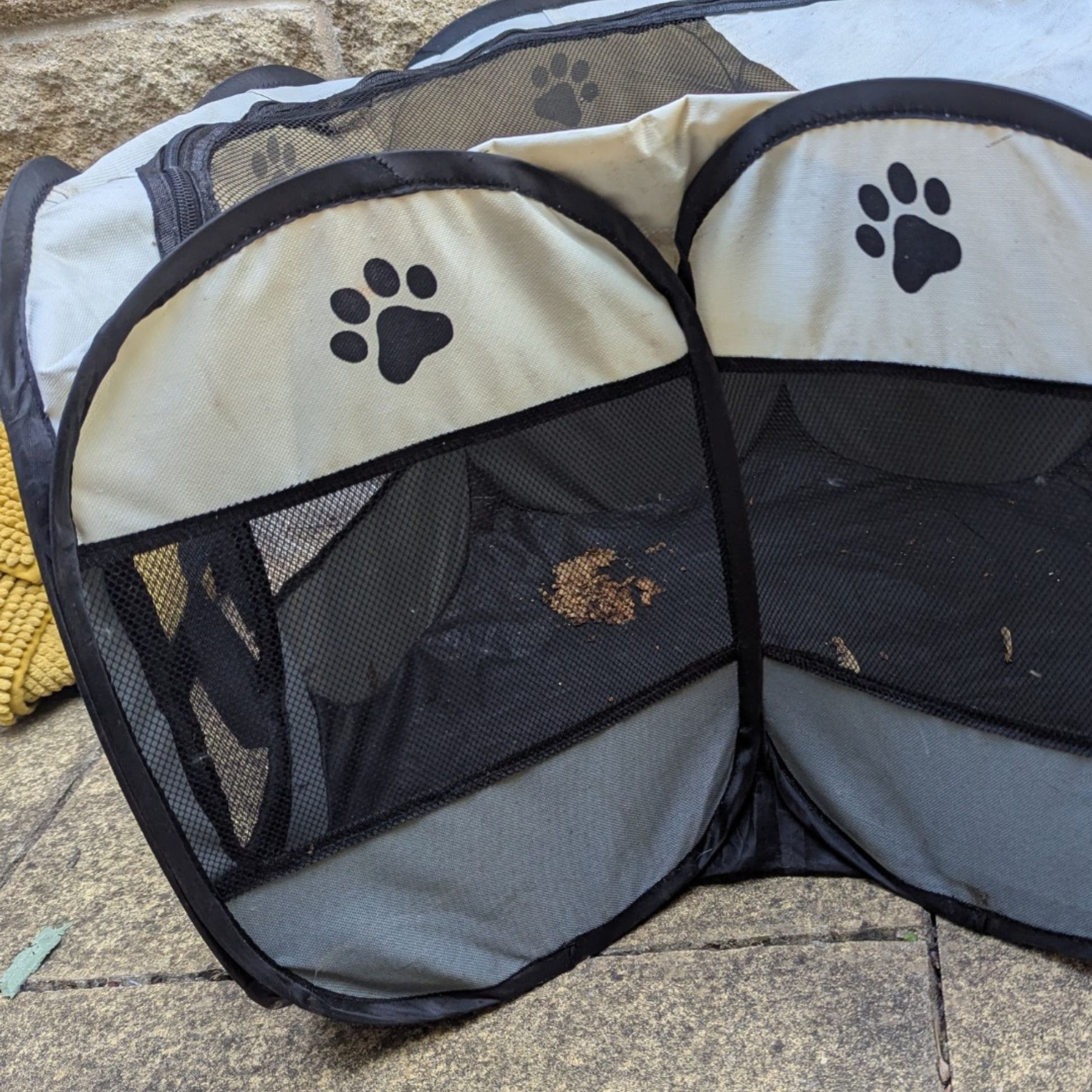 animal crate