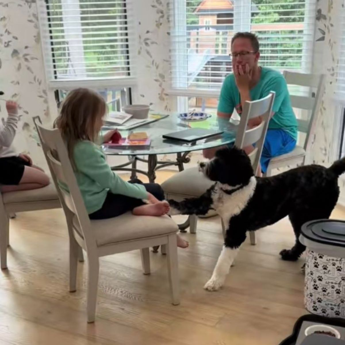 dog and family in house