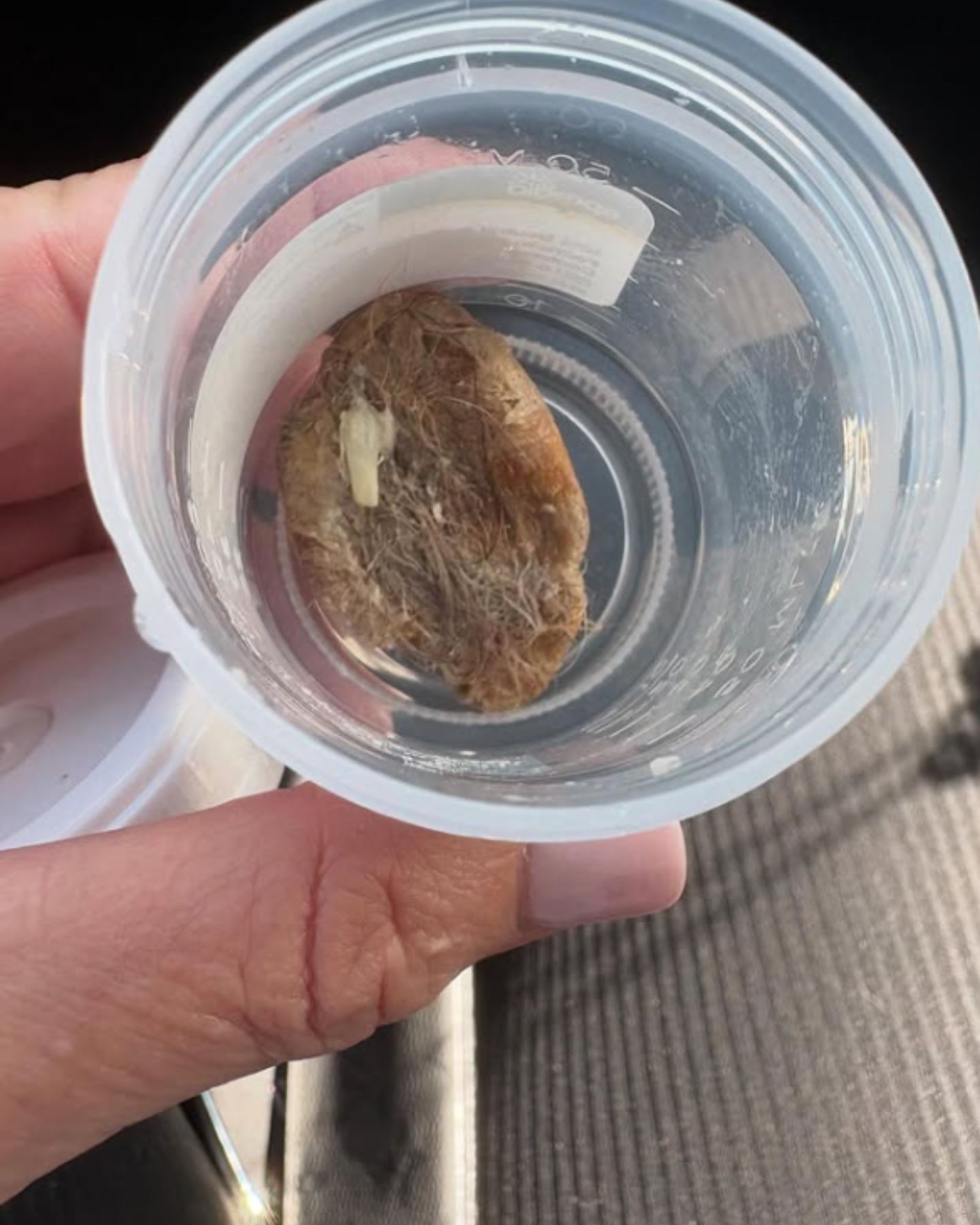 dogs poop