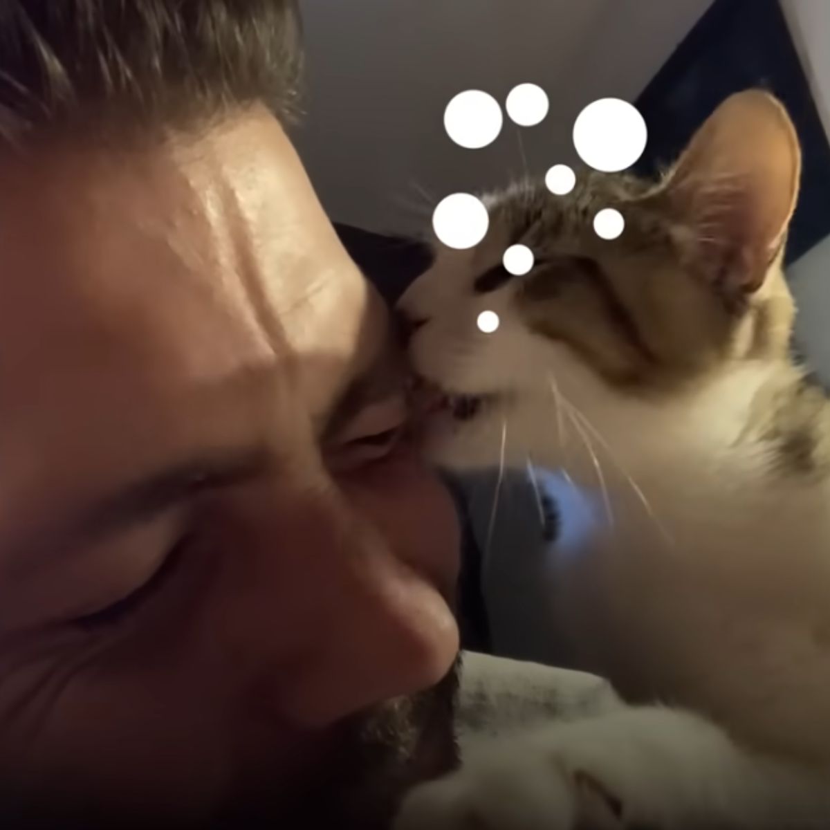 kitten licking a man