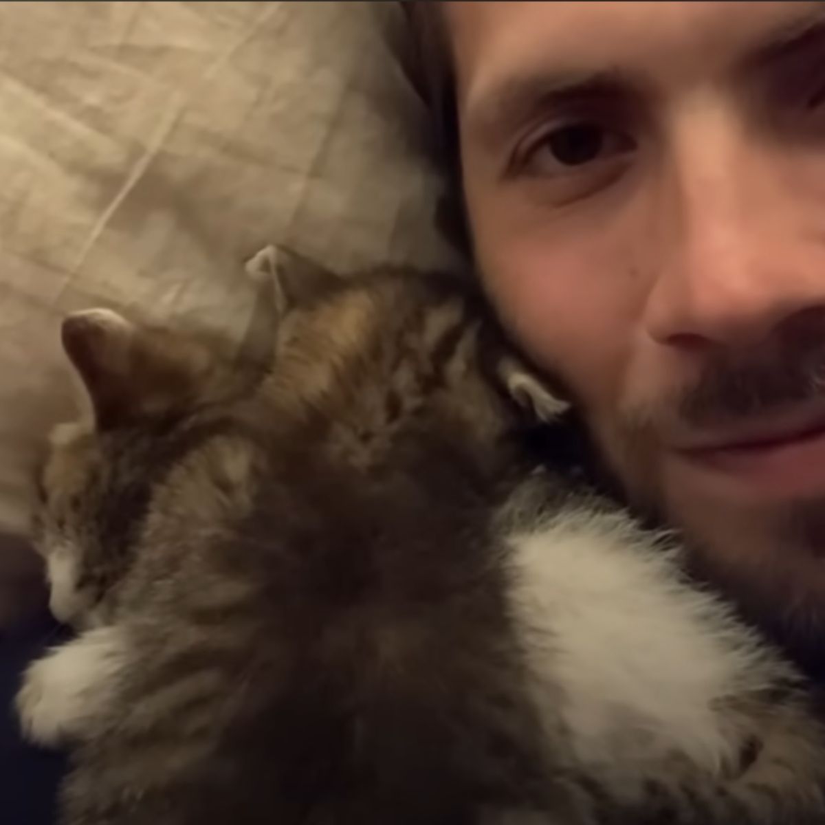man and kitten