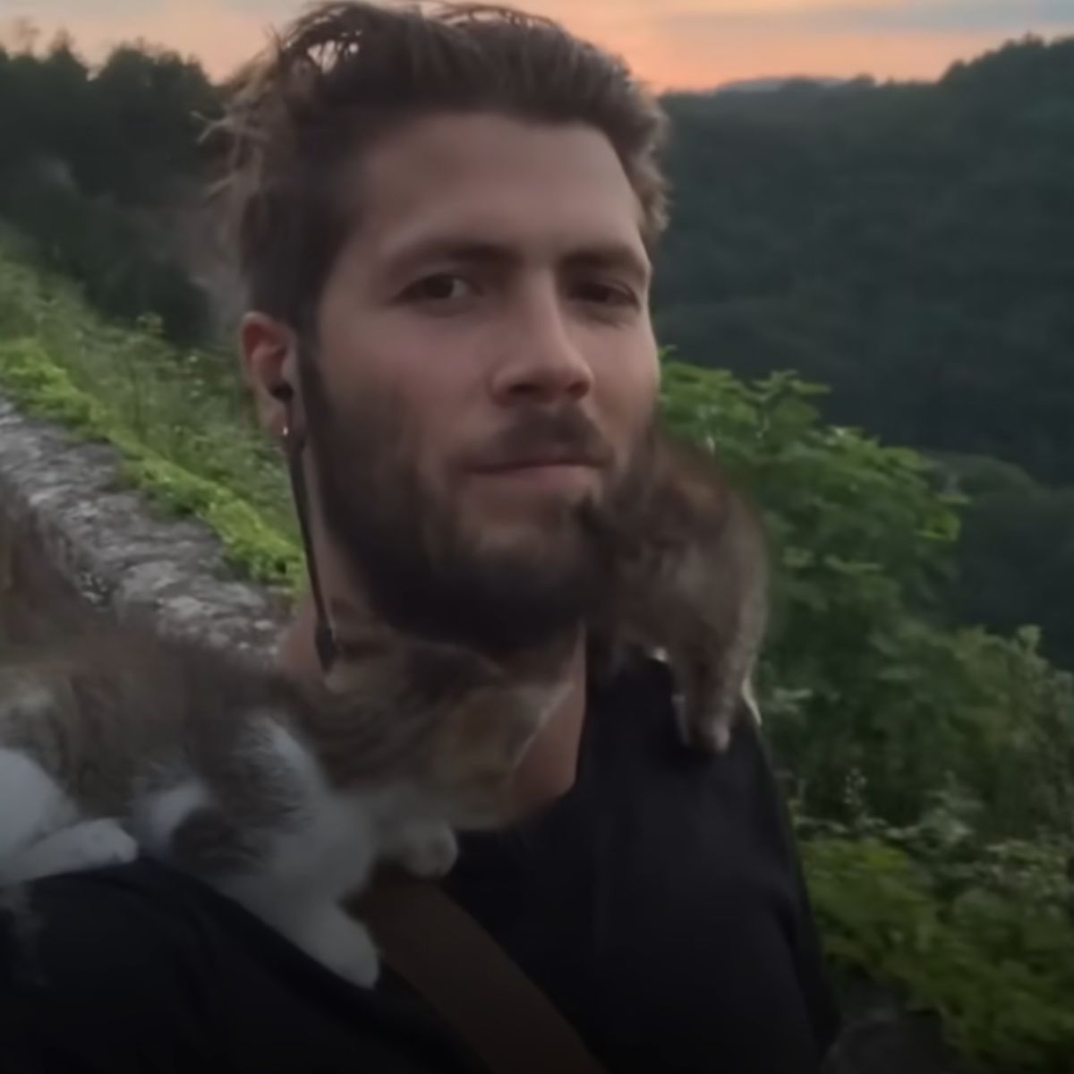 man and two kittens