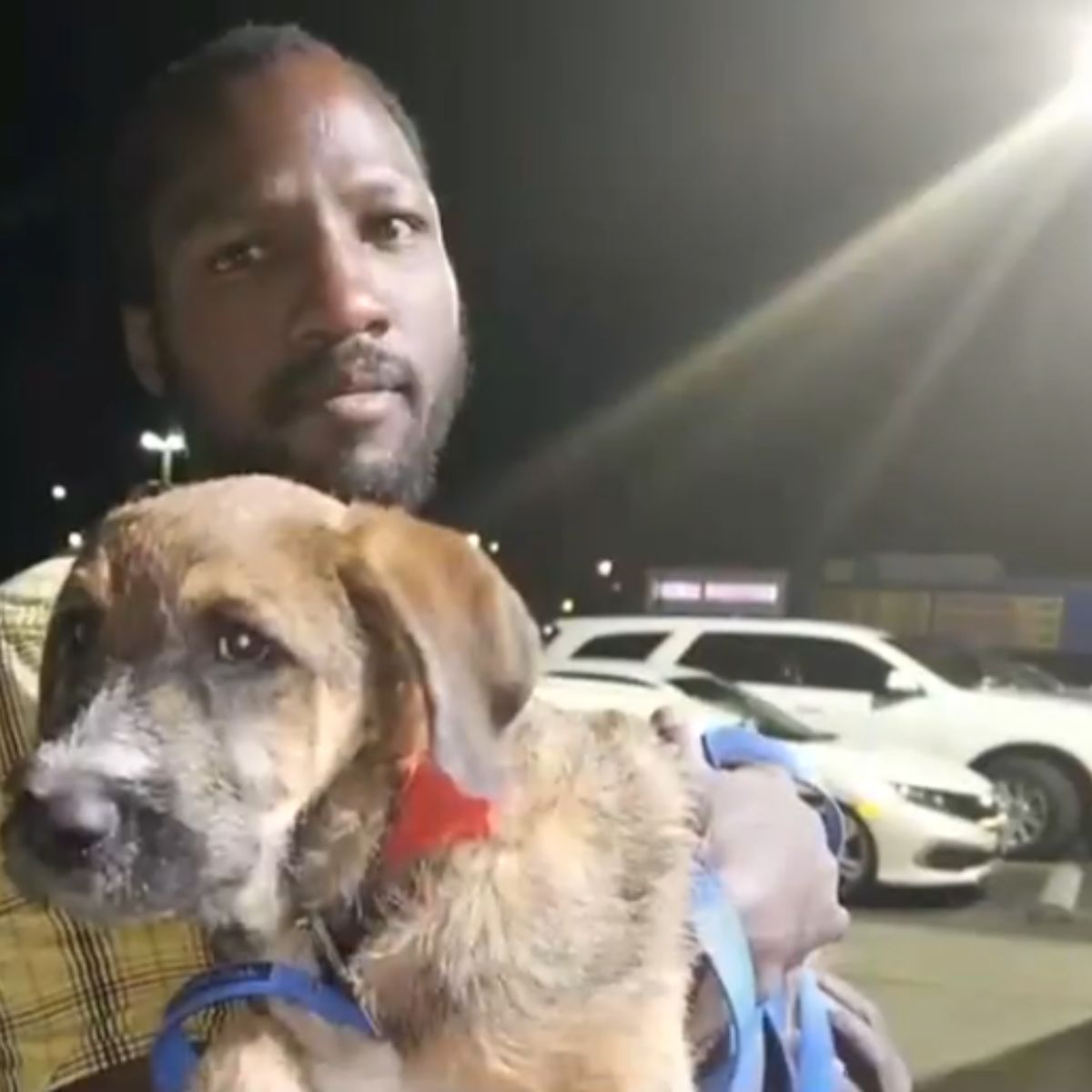 man holding a big dog