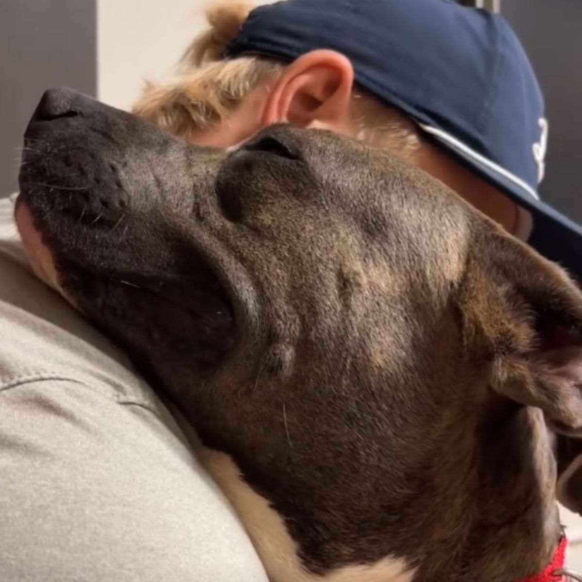 man hugging a dog