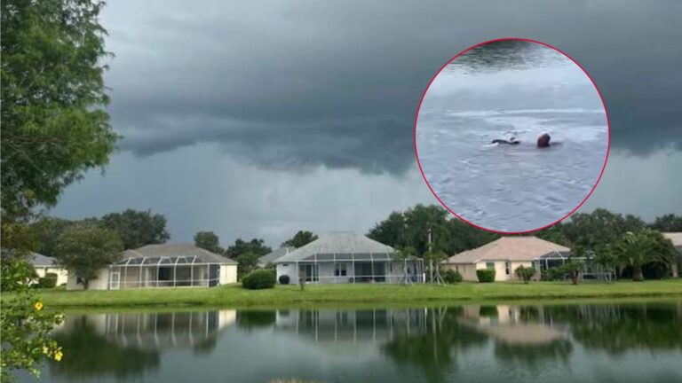 Florida Man Hears A Splash In Gator-Infested Lake And Jumps In To Rescue Someone In Danger