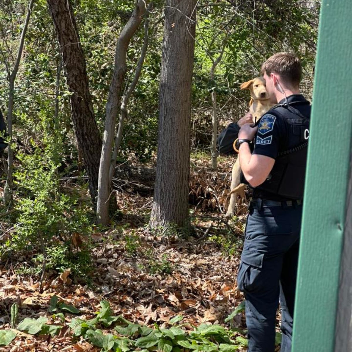 officer and puppies