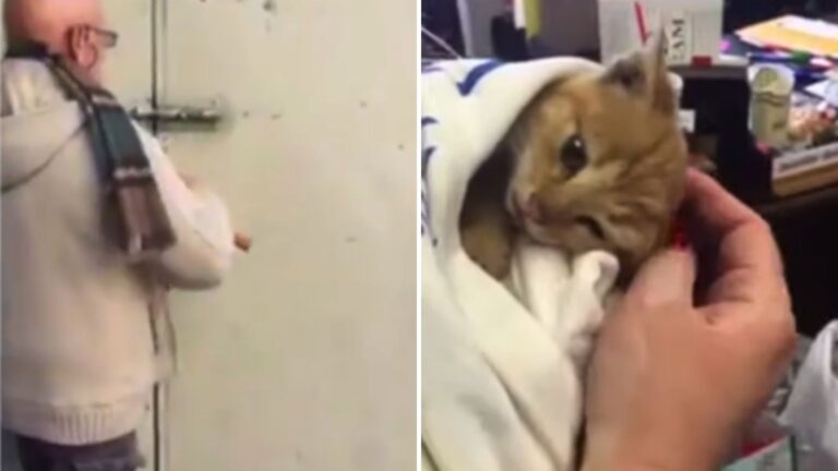 Couple Interrupted By Odd Sounds Makes A Devastating Discovery In A Dumpster In California
