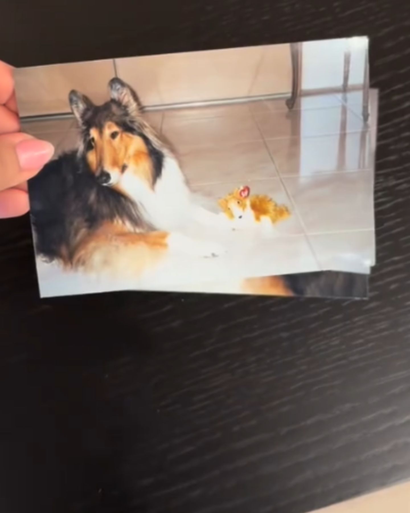 picture of dog