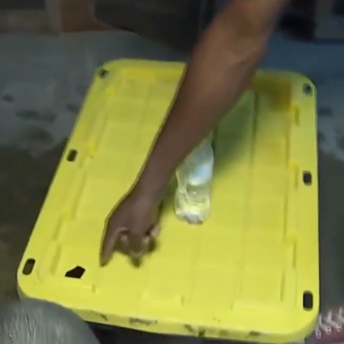 sealed container