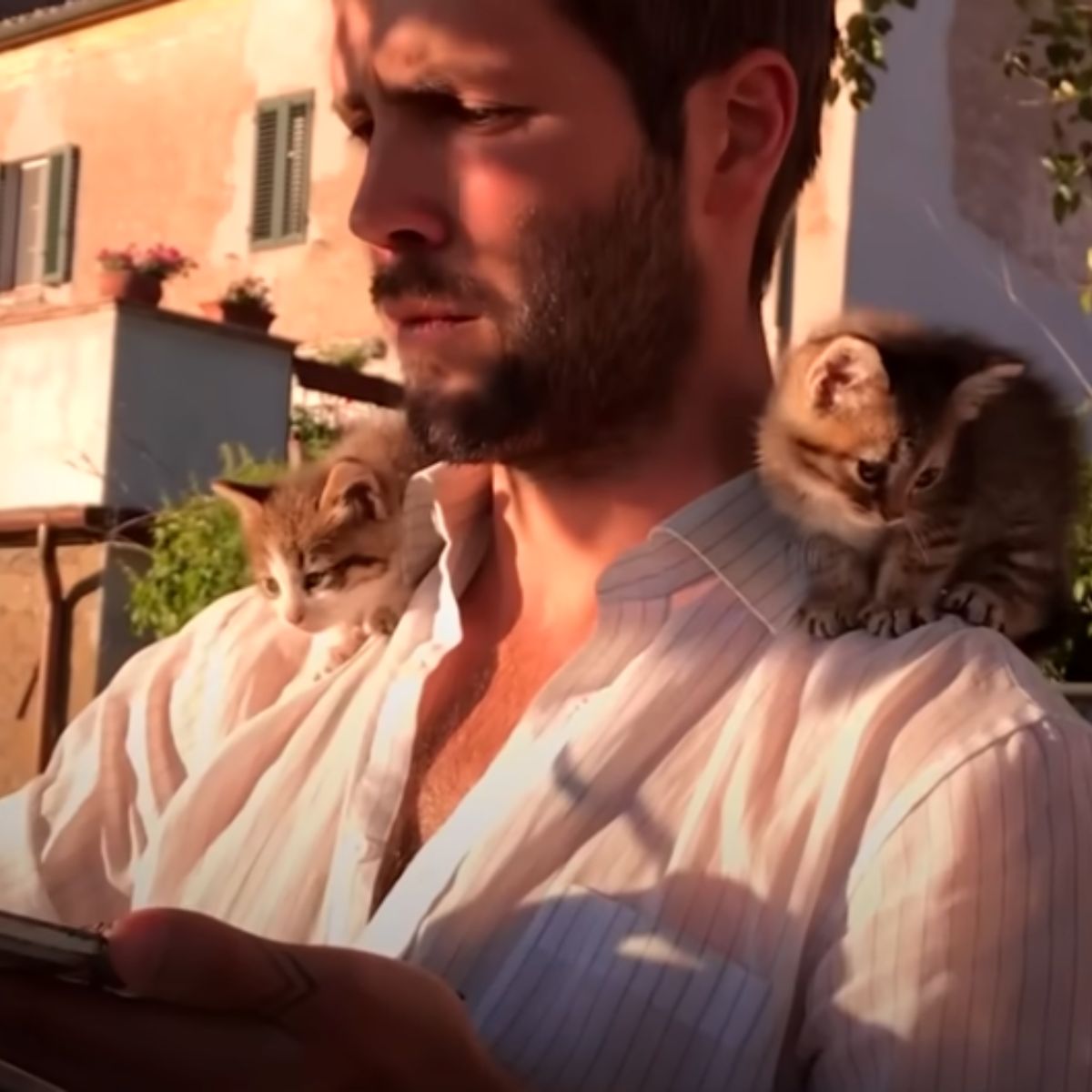 two kittens on shoulders of man