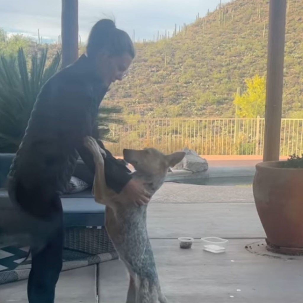 woman and coyote