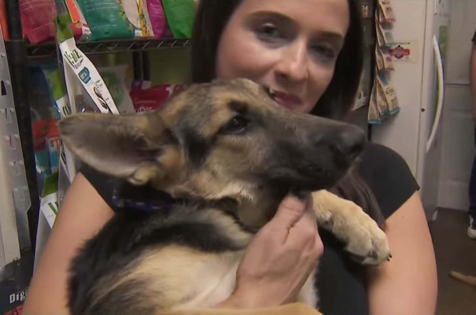 woman holding a cute dog