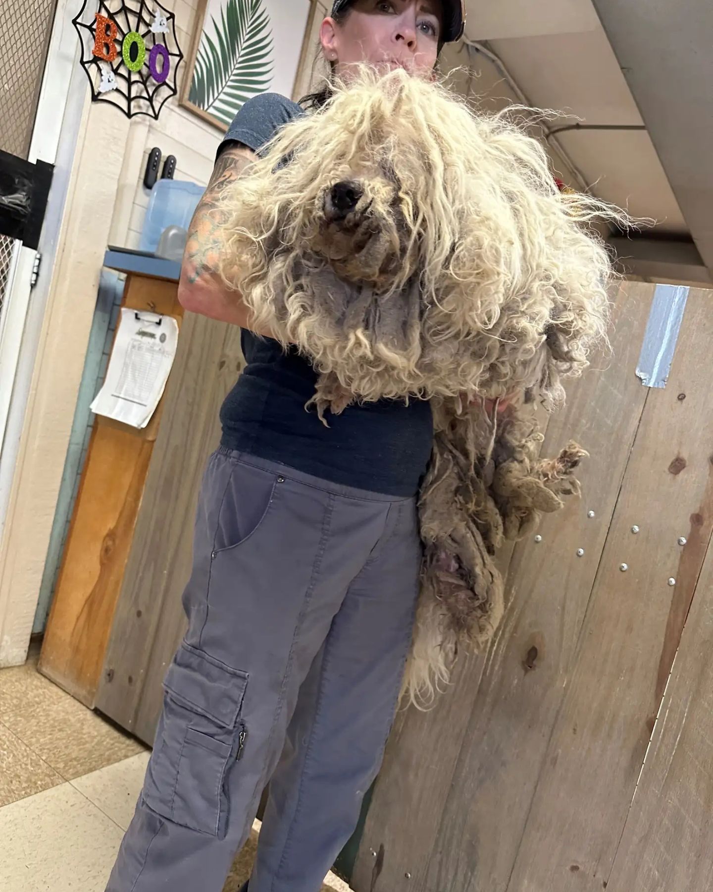woman holding a neglected dog