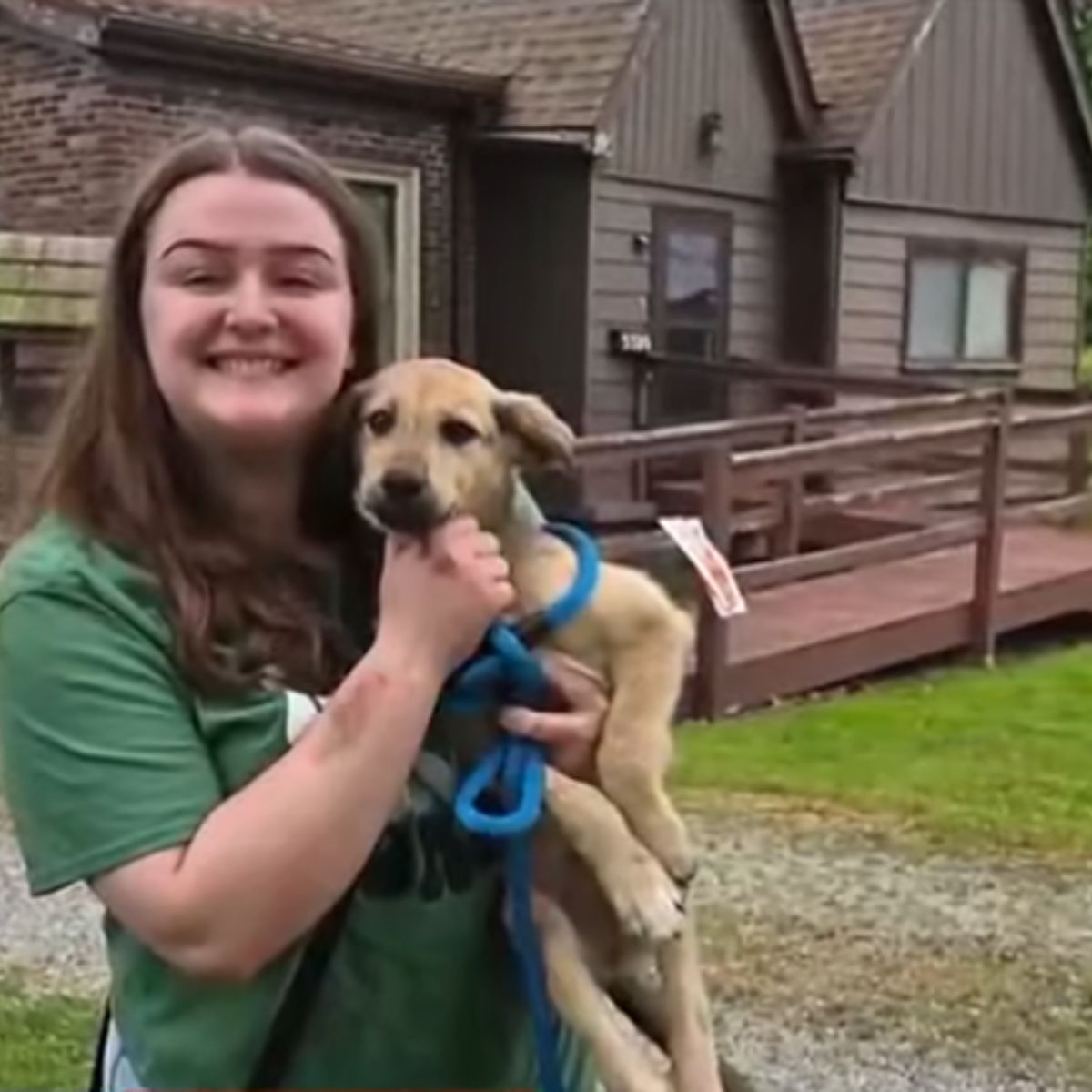 woman holding an abandoned dog