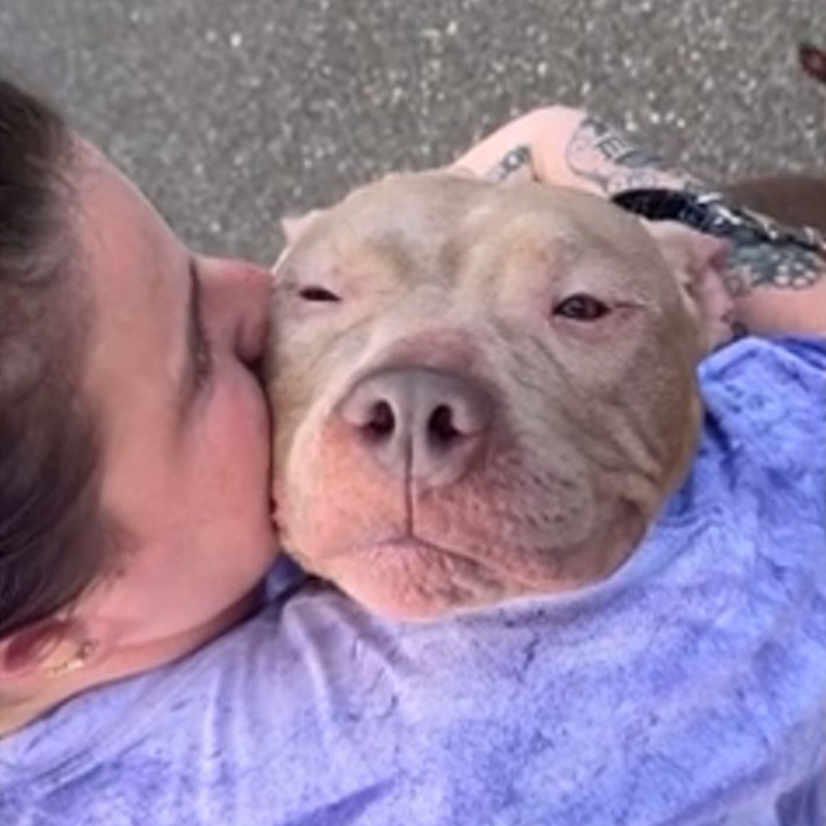 woman kissing a dog