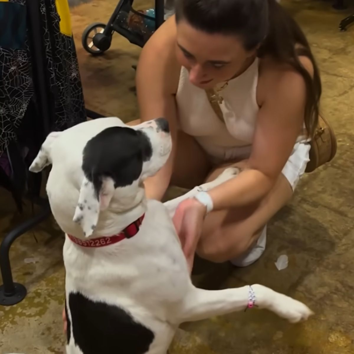 woman playing with dog