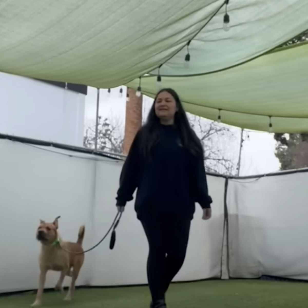 woman walking a dog