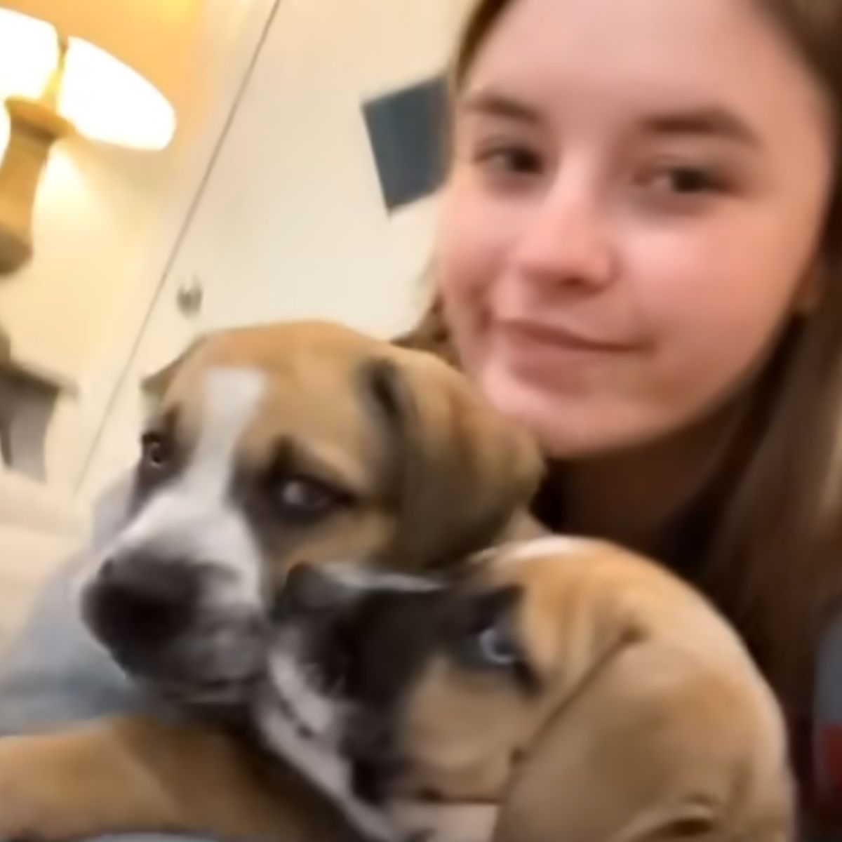 young woman and two puppies