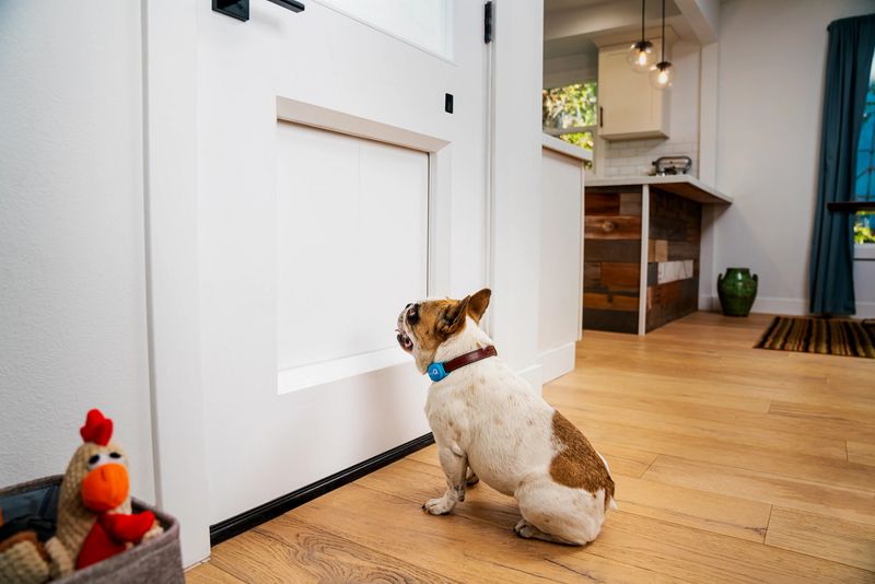 Secure All Doors, Windows, And Pet Exits