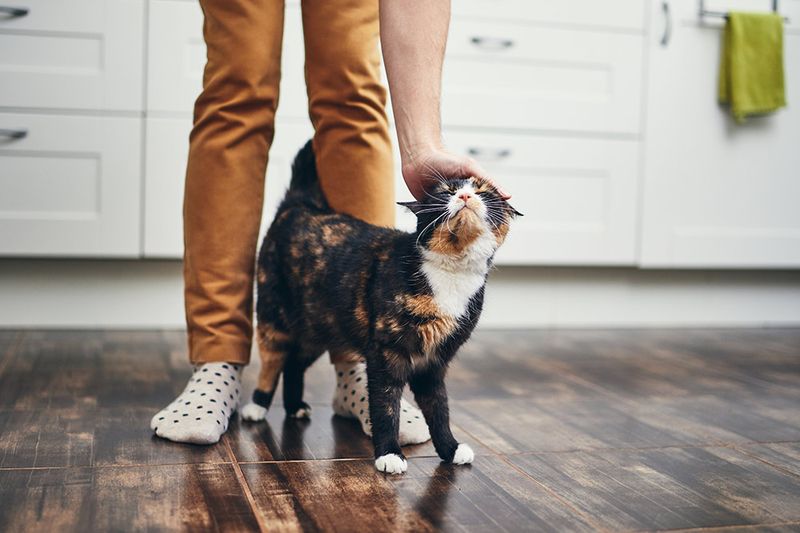 Following You Around