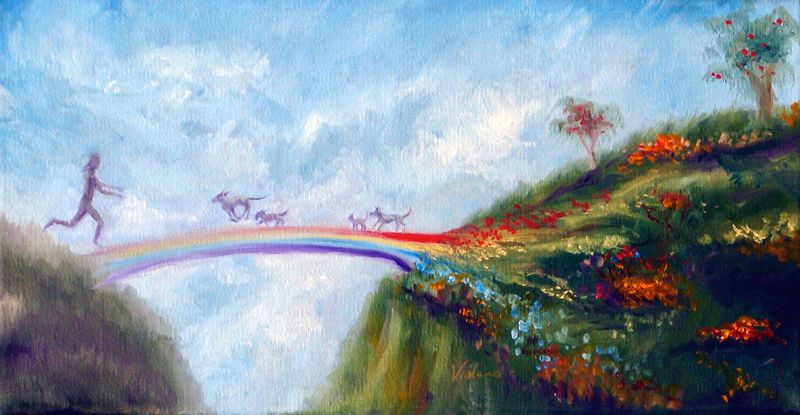 Rainbow Bridge Reunion