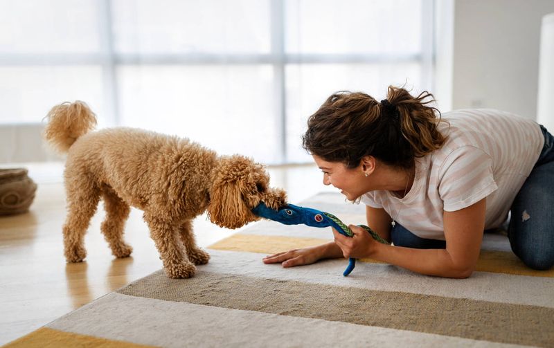 Indoor Tug-Of-War