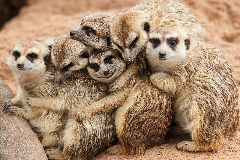 Strong Family Bonds