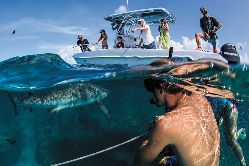 Swim In Groups