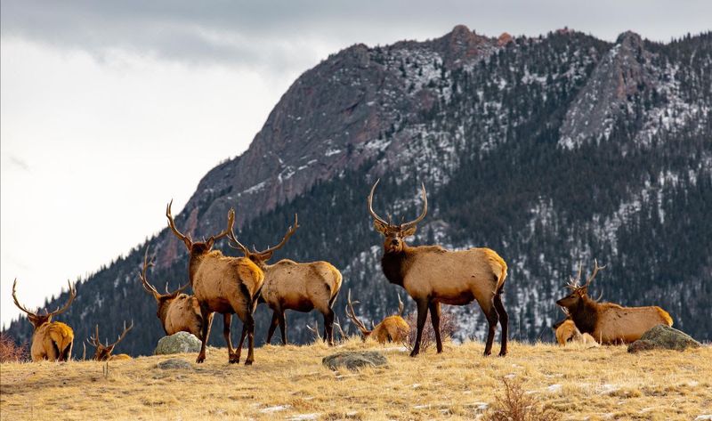 Colorado
