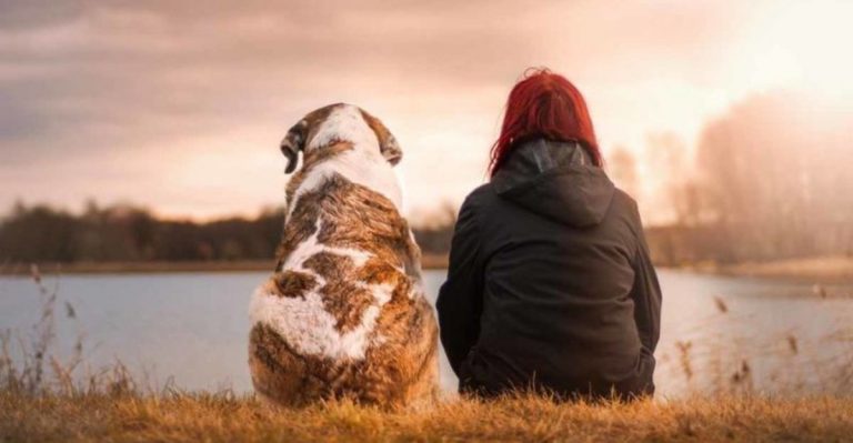 14 Dog Behaviors That Say You’re My Forever Family