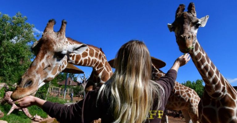 15 U.S. Zoos You Need To Visit At Least Once In A Lifetime