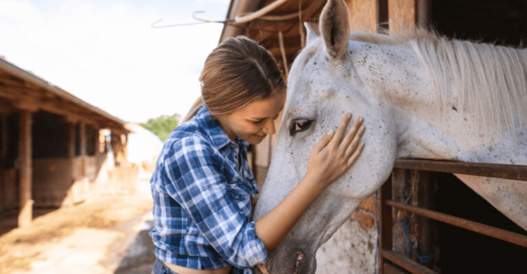8 Friendliest Animals That Adore Humans And 4 That Definitely Don’t