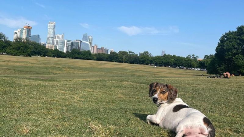 Austin, Texas