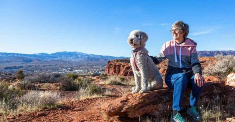 9 Best Places In The United States To Retire With Your Dog