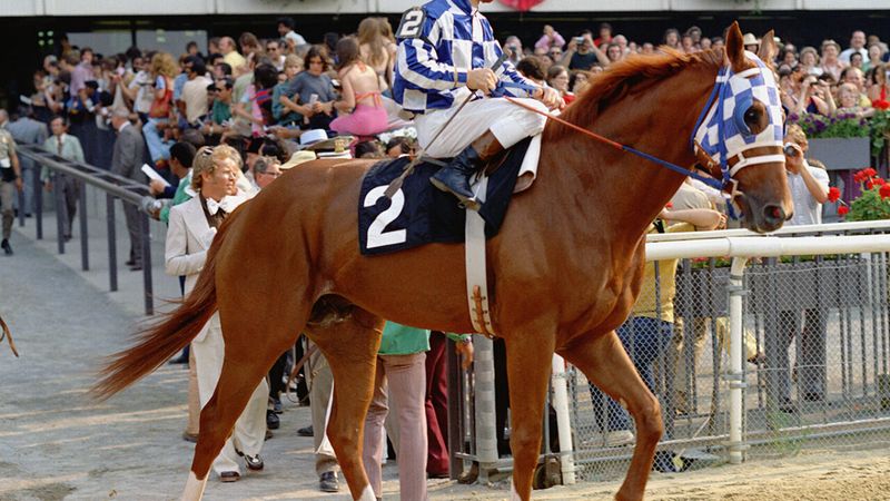 Secretariat, The Horse With Heart