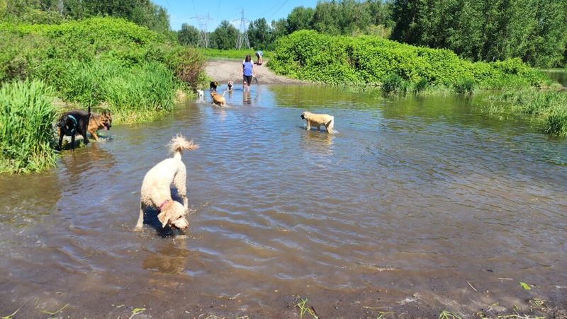 Sandy River Delta – Troutdale