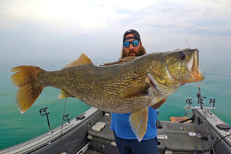 Lake Erie (Ohio, Pennsylvania, New York, Michigan)