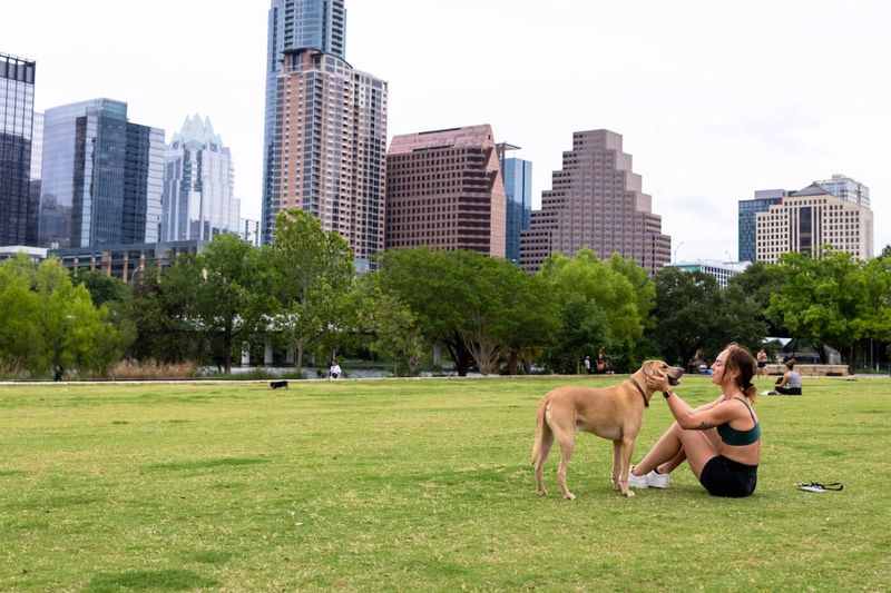 Pet-Friendly Parks And Outdoor Spaces