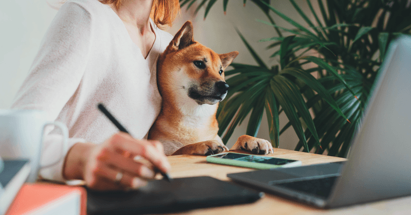 Supportive Pet Policies