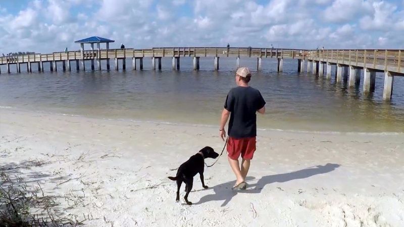 Smyrna Dunes Park (New Smyrna Beach)