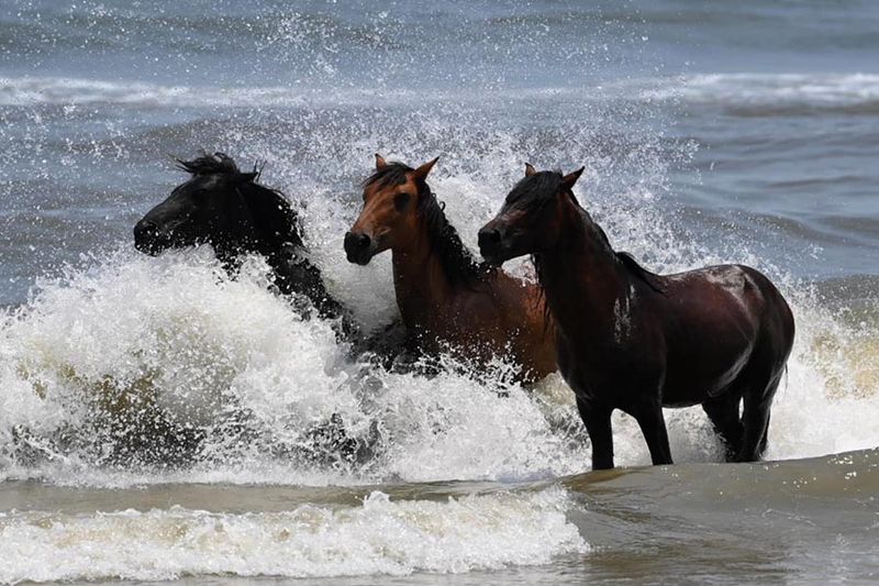 Outer Banks, North Carolina
