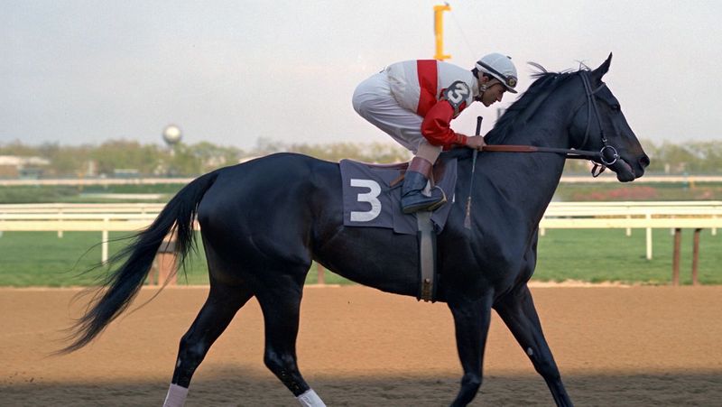 Ruffian, The Queen Who Fell