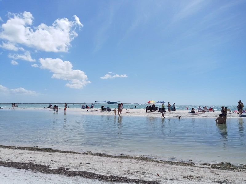 Honeymoon Island State Park (Dunedin)