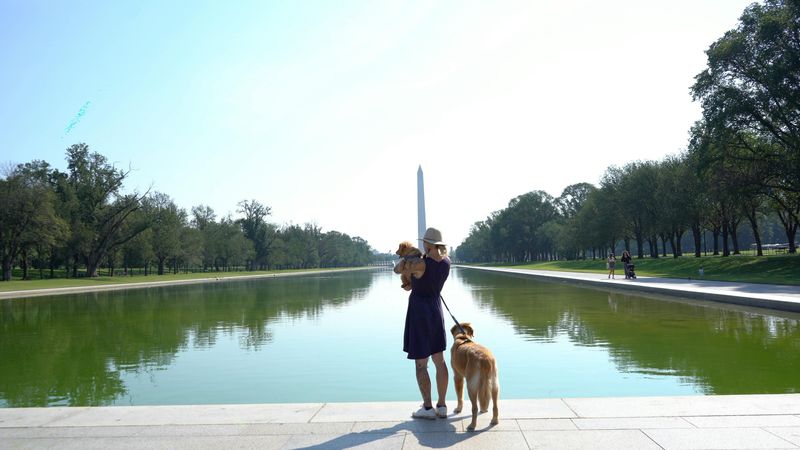 Washington, D.C.